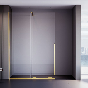 Душевая дверь Veconi Premium Trento PTDW-50G, 1100x2000, брашированное золото, стекло прозрачное Ника
